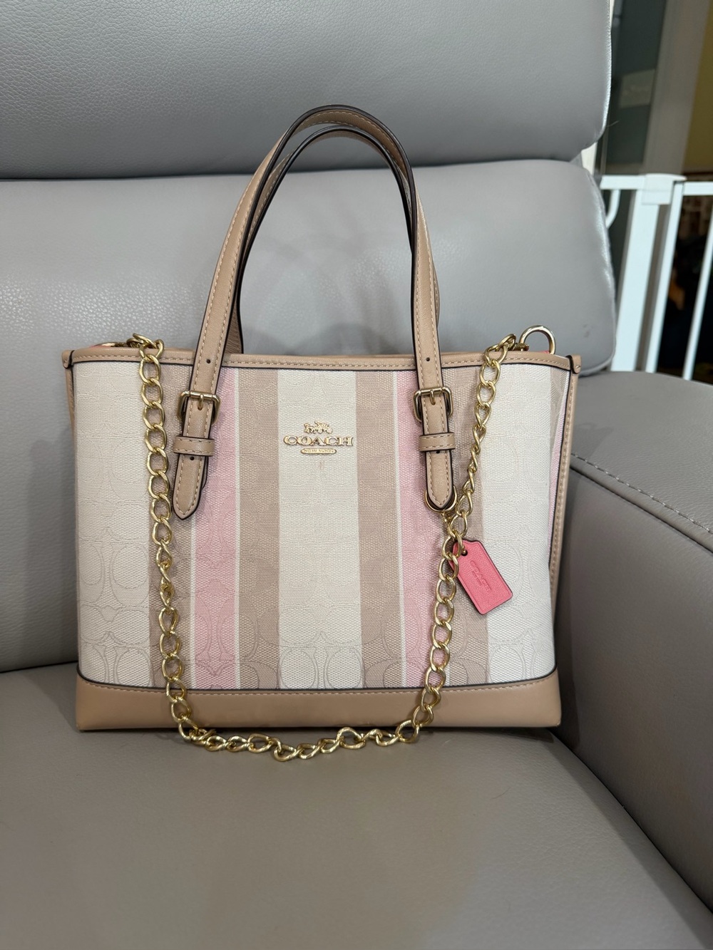 Coach Mollie 25 Tote